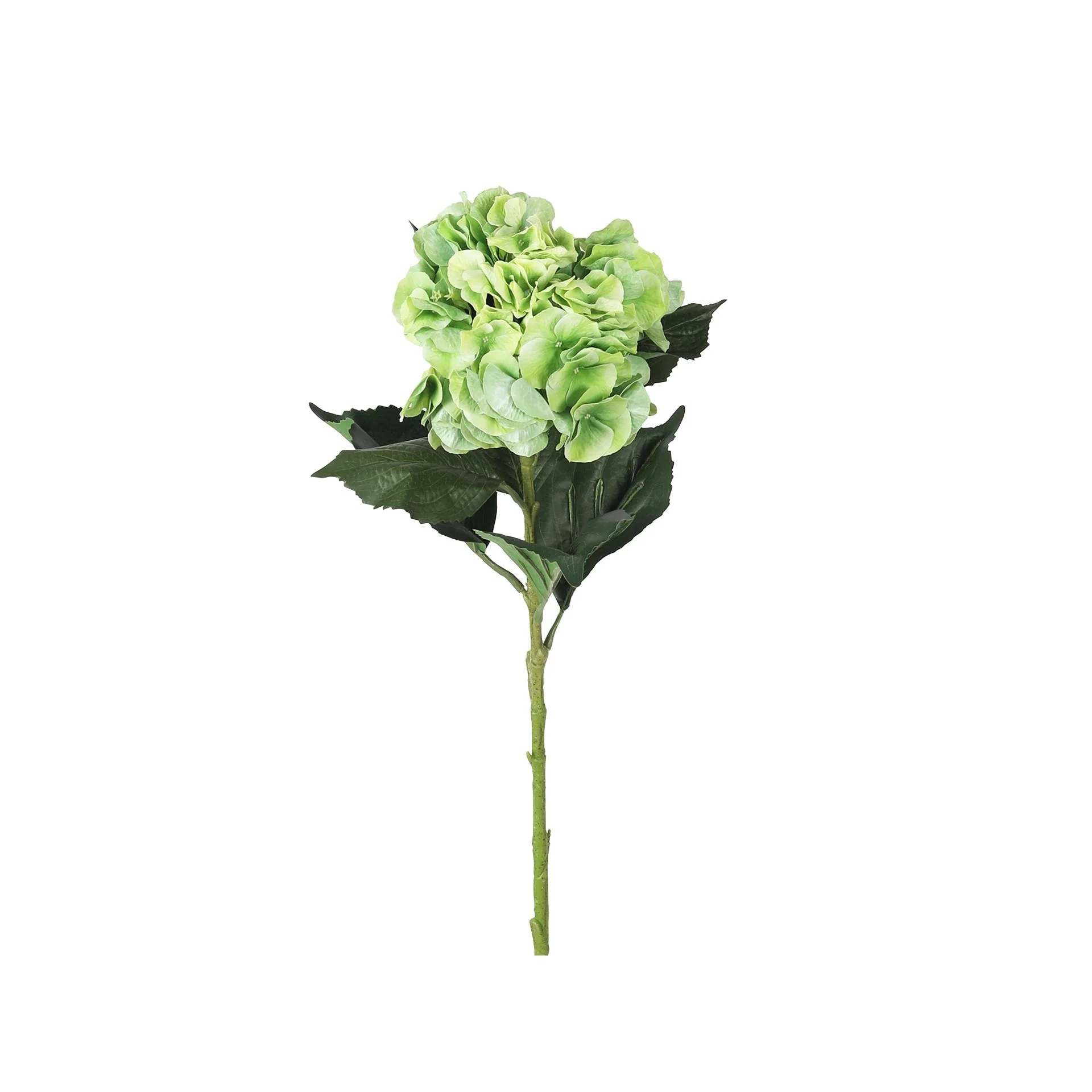 Hydrangea Spray Real Touch Green 100cm