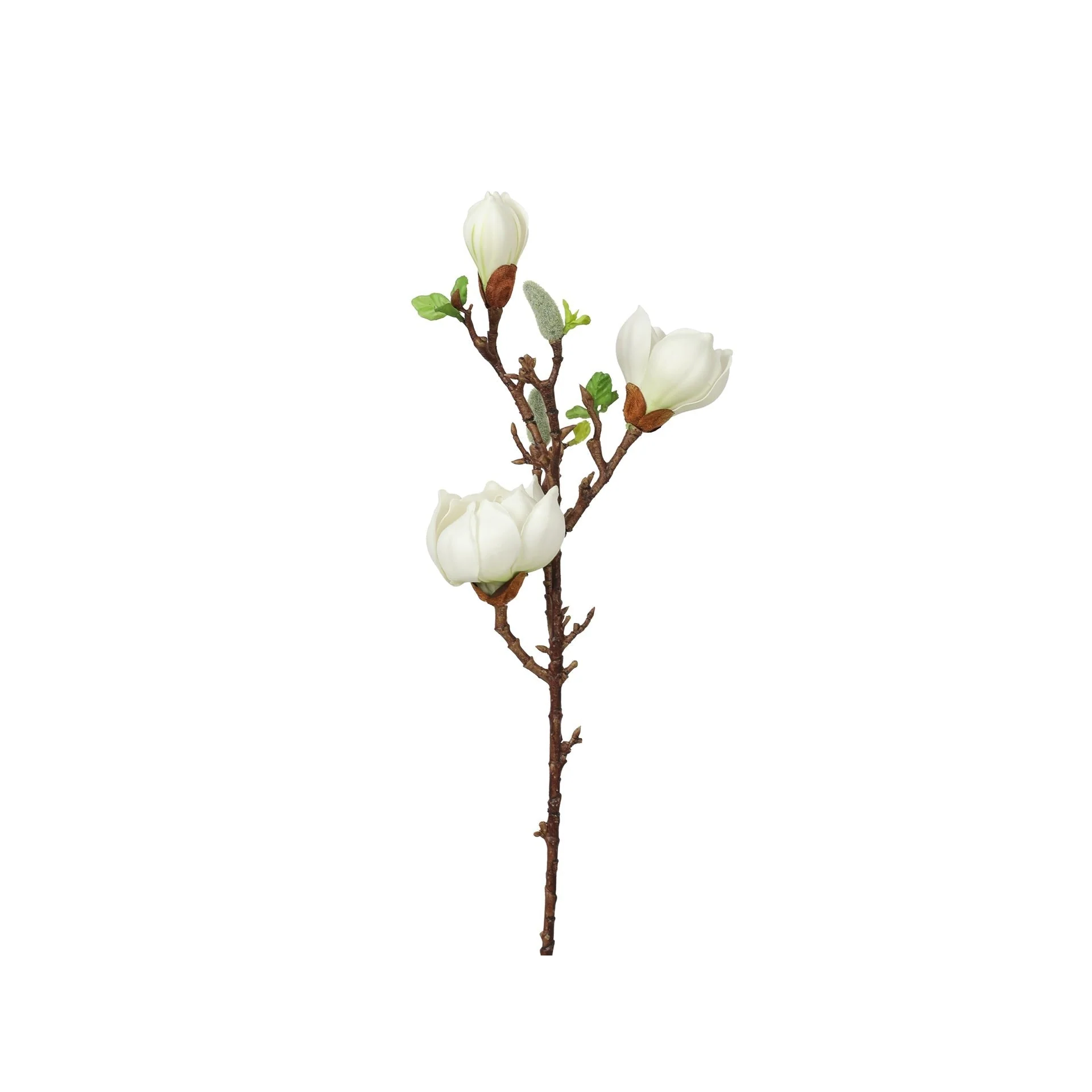 Magnolia Spray White 75cm
