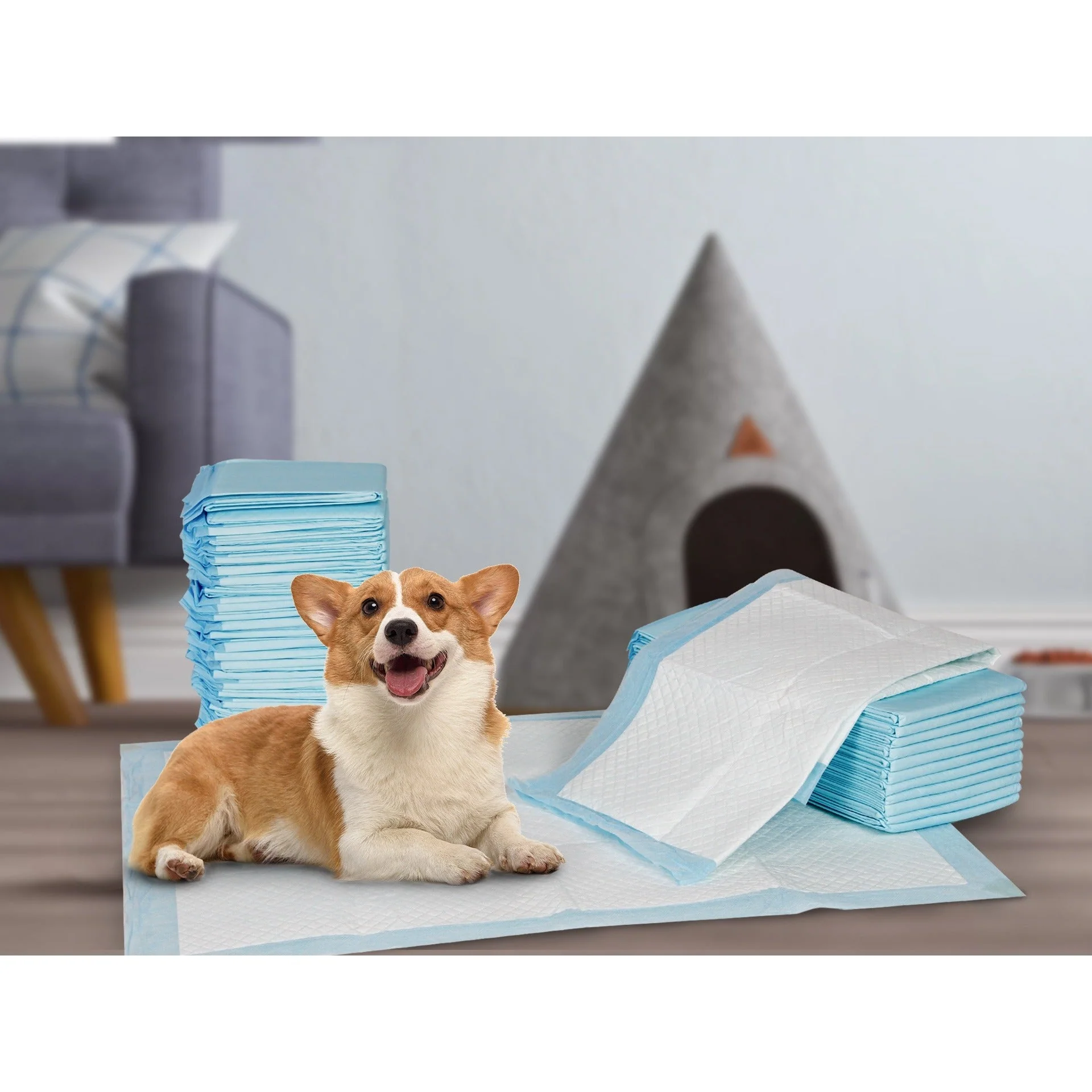 Puppy Training Pad - Set of 50 - M
